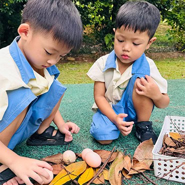 MI-5-18.40.30 Develop curiosity and scientific process skills
